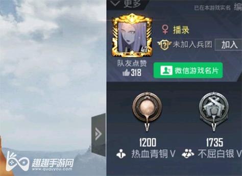 和平精英模拟器高清版辅助【雪貂】自瞄开关  全图透视 倒地不瞄 自动压枪